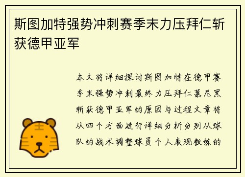 斯图加特强势冲刺赛季末力压拜仁斩获德甲亚军