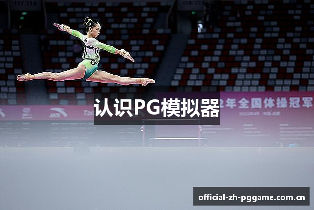 认识PG模拟器